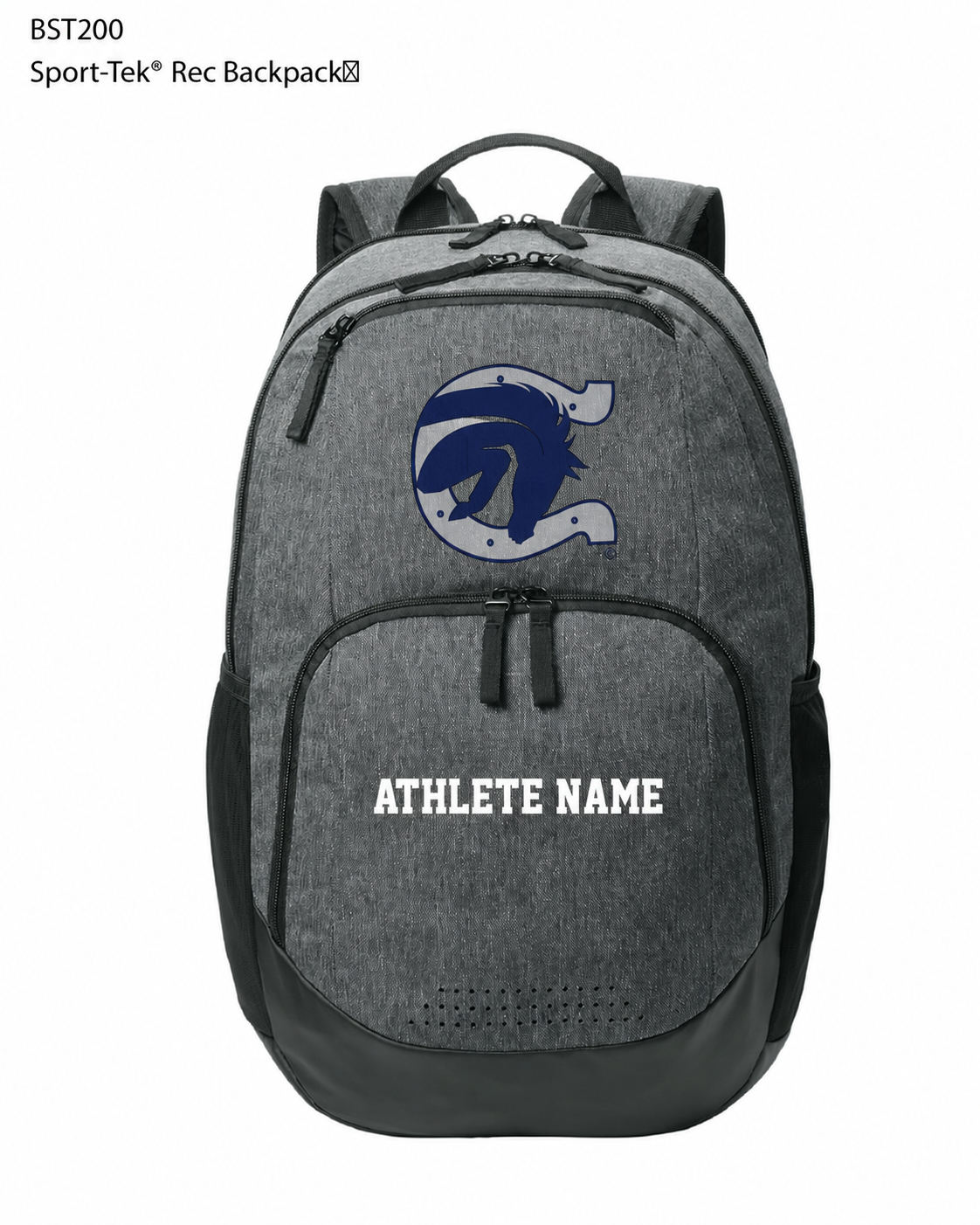 Charger Volleyball Backpack